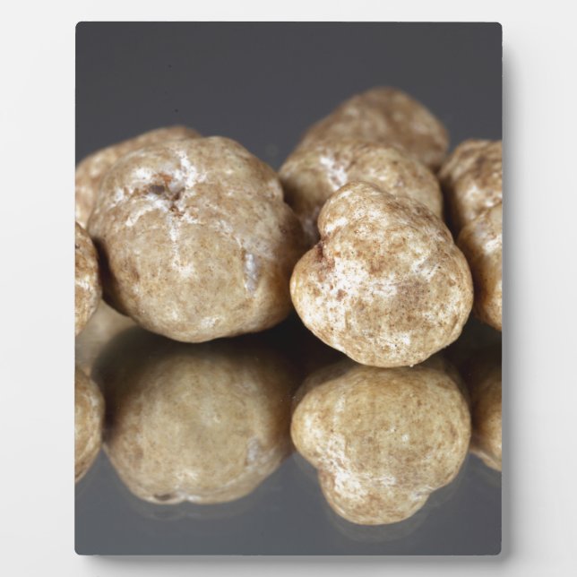 White truffles Tuber oligospermum Plaque (Front)