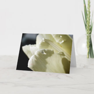 White Tulip Card