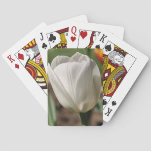 White Tulip Flower In Sunlight  Playing Cards