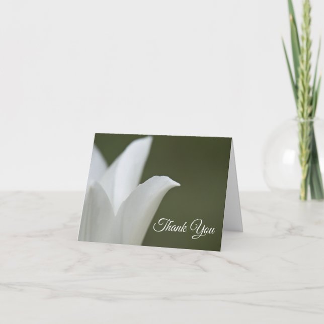 White Tulip Flower on Green Funeral Sympathy Thank You Card (Front)