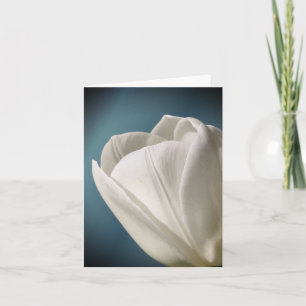 White Tulip Flower Photography  Note Card