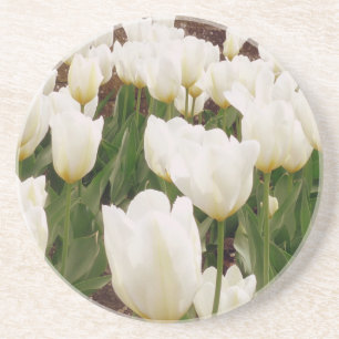White Tulip Flowers Coaster