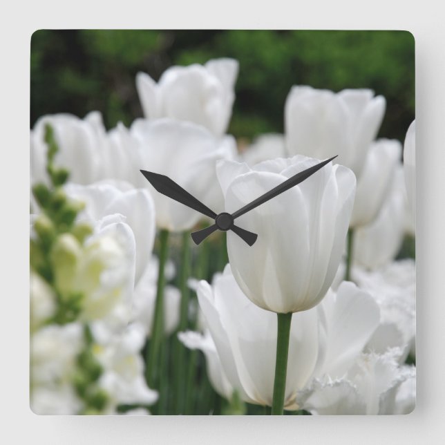 white tulip garden square wall clock (Front)