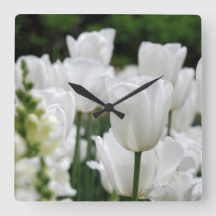 white tulip garden square wall clock