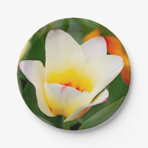 White Tulip Paper Plate