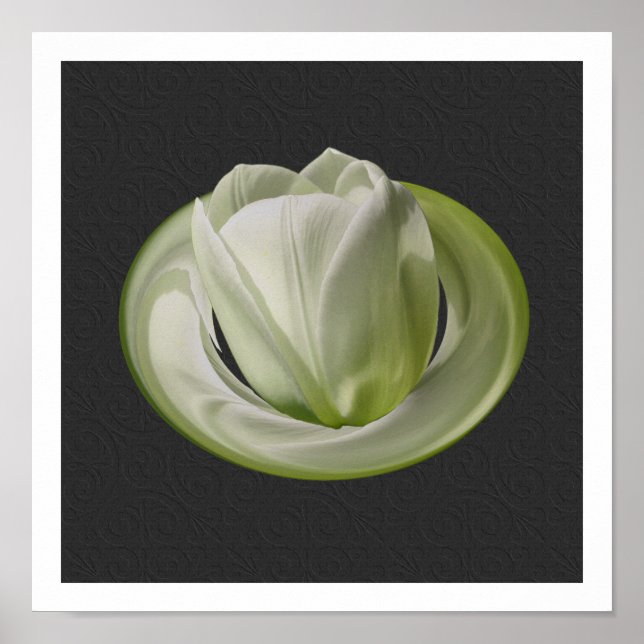 White Tulip Petals Floral Art Poster (Front)