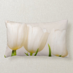 White tulips against a white background, lumbar cushion