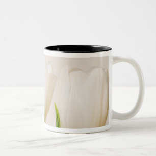 White tulips against a white background, Two-Tone coffee mug