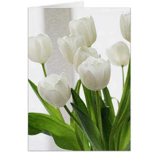 White Tulips - art-db