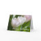 White Tulips • Birthday Greeting Card