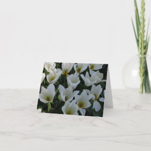 White Tulips Card