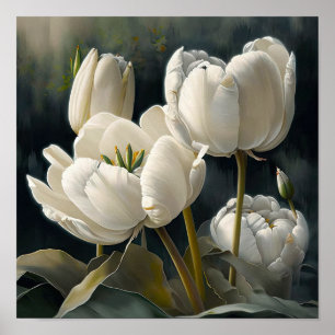 White Tulips Flower Art Print Poster