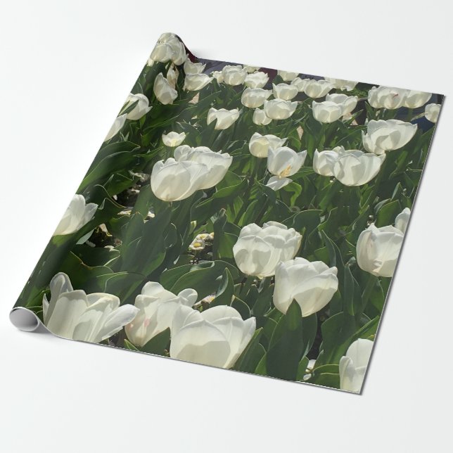 White Tulips for a delicate flower. Wrapping Paper (Unrolled)