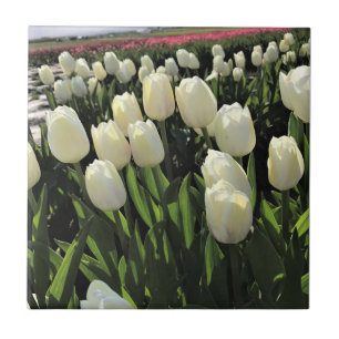 White Tulips in a Field, Oregon Ceramic Tile
