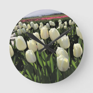 White Tulips in a Field, Oregon Round Clock