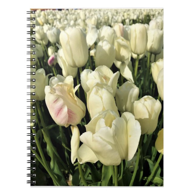 White Tulips, Oregon Notebook (Front)
