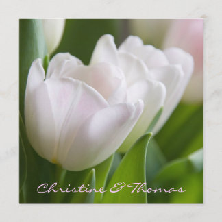 White tulips ・ Save the Date postcard