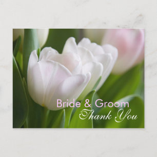 White Tulips • Thank You Postcard