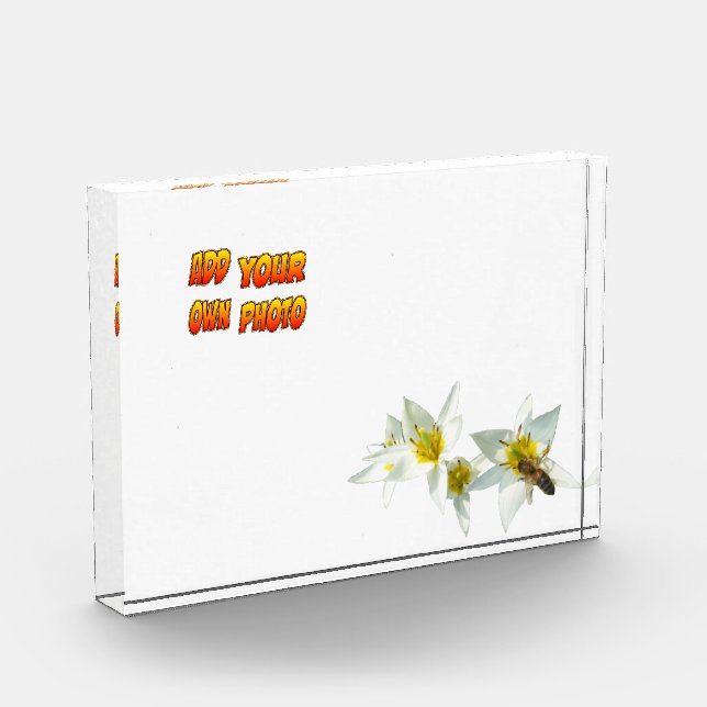 White Tulips with Bee Cust. Photo Block (Left)