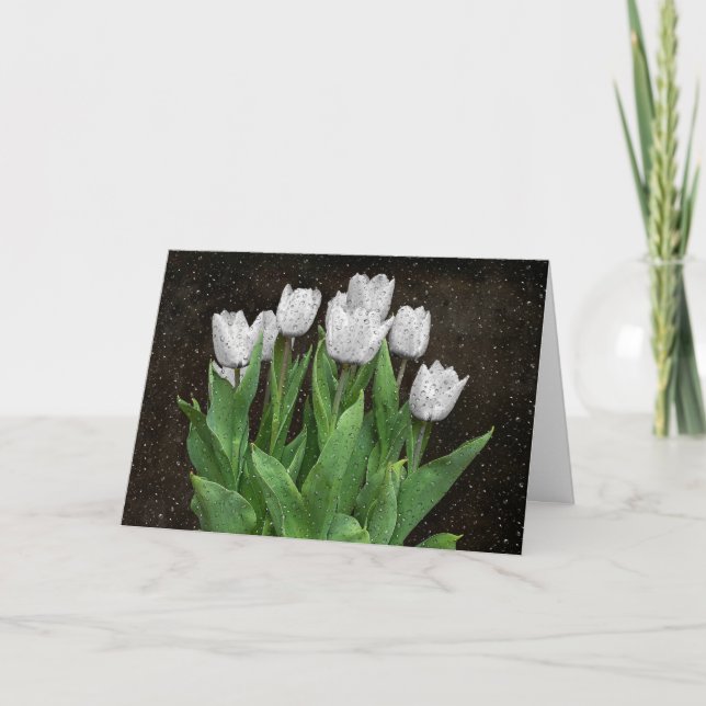 White Tulips with Raindrops Sympathy Card (Front)