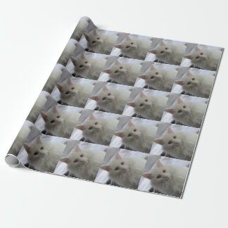 white turkish angora cat wrapping paper