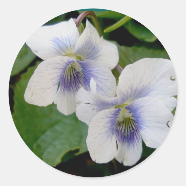 White Violet Pair Stickers (Front)