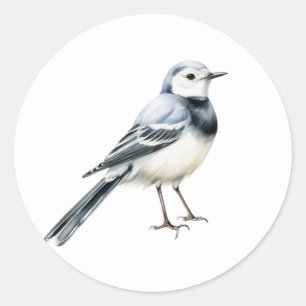 White Wagtail Bird Stickers
