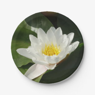 White Water Lilly, Lotus Flower Paper Plate