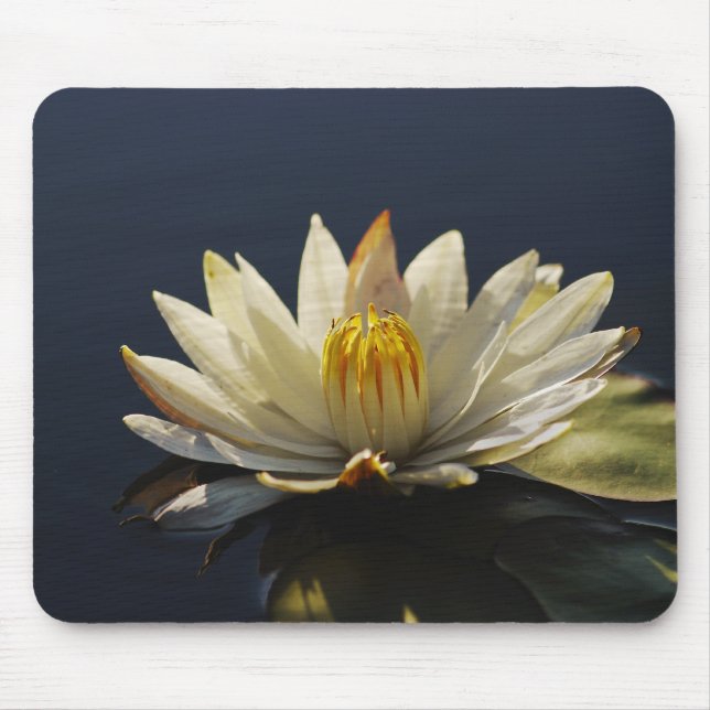 White water lilly mousemats - customisable (Front)