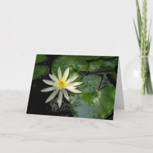 White Water Lily Card