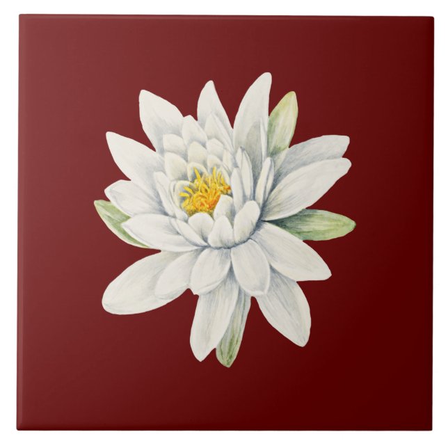 White water lily flower ceramic tile (Front)