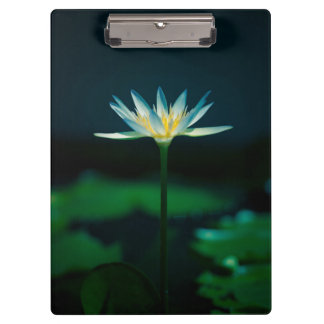White Water Lily Flower Clipboard