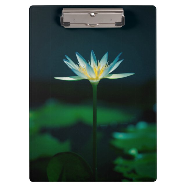 White Water Lily Flower Clipboard (Front)