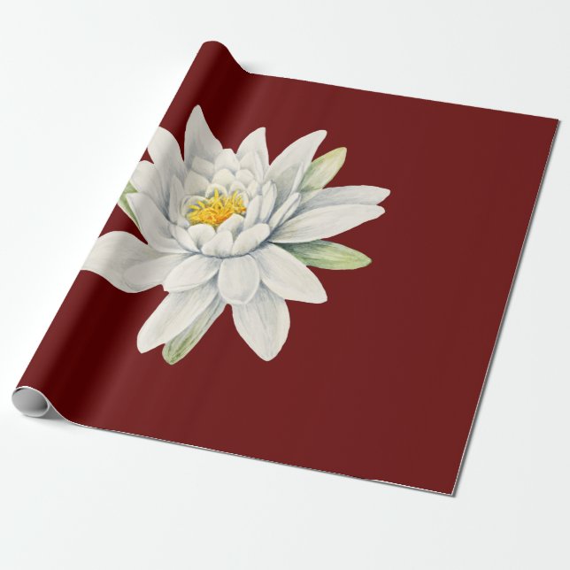 White water lily flower wrapping paper (Unrolled)