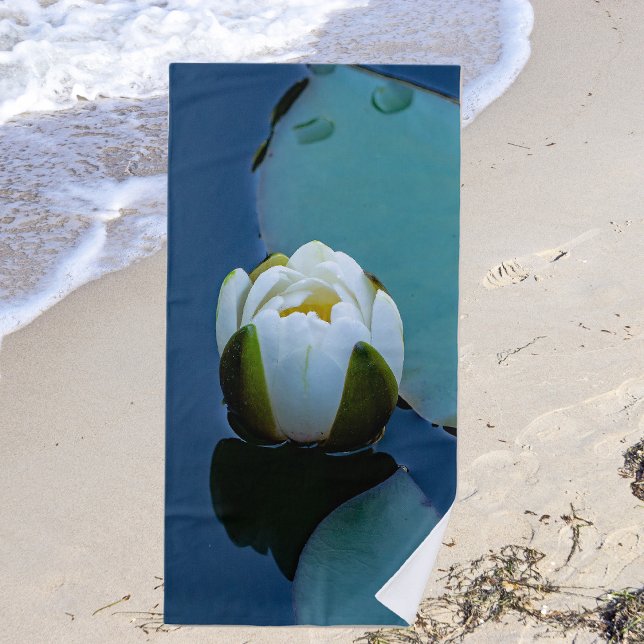 White water lily in the pond, nature photography  beach towel (Creator Uploaded)