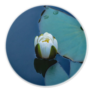 White water lily in the pond, nature photography ceramic knob