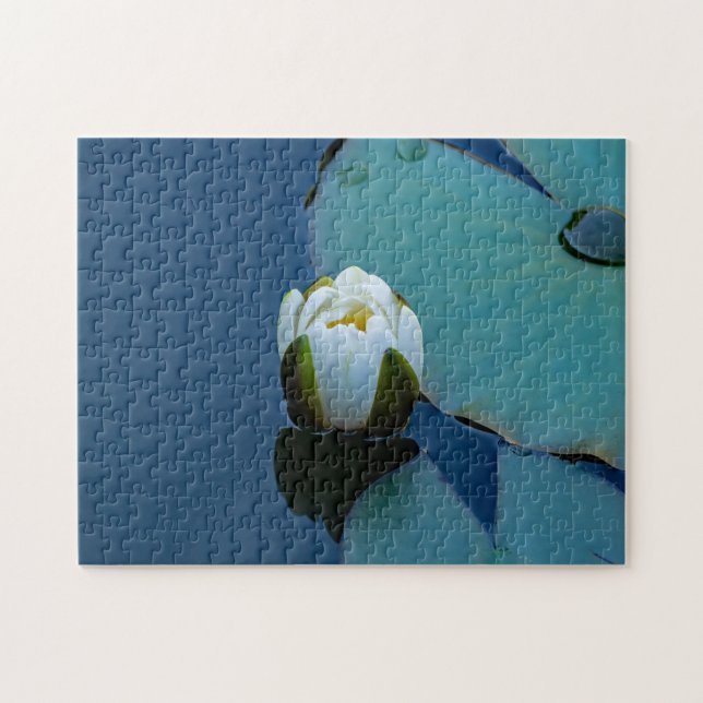 White water lily in the pond, nature photography  jigsaw puzzle (Horizontal)