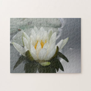 White Water Lily Lotus Blossom Flower  Jigsaw Puzzle