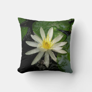 White Water Lily Photograph Cushion