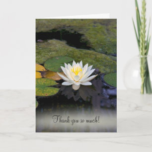 White Water Lily Thank You