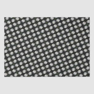 White Water Lily w/ Black Background - Floral Tissue Paper