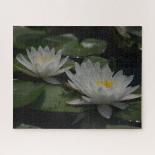 White Waterlilies Jigsaw Puzzle