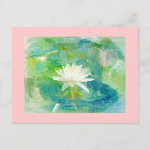 White Waterlily Blossom Postcard