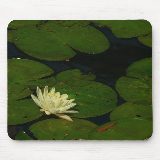 White Waterlily I Peaceful Floral Photography Mouse Pad (Front)