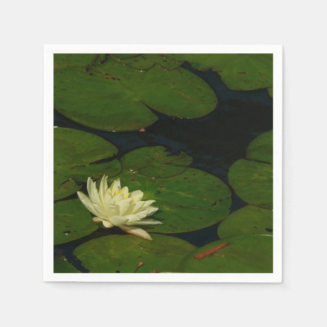 White Waterlily I Peaceful Floral Photography Napkin (Front)
