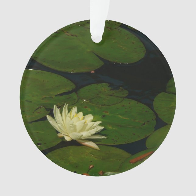 White Waterlily I Peaceful Floral Photography Ornament (Front)