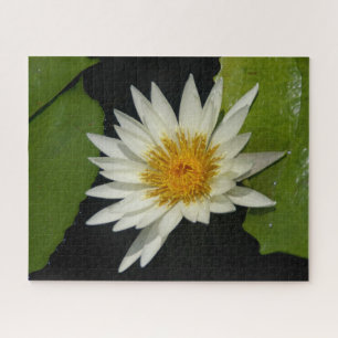 White Waterlily Jigsaw Puzzle