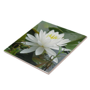 White Waterlily Wildflower Ceramic Tile