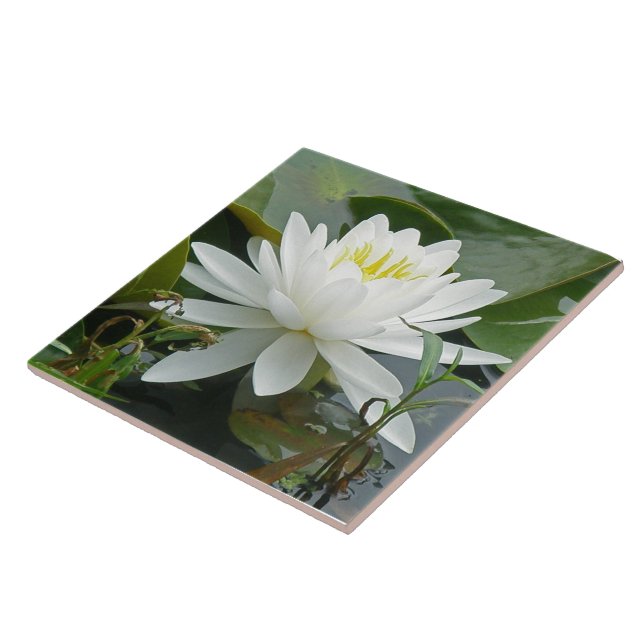 White Waterlily Wildflower Ceramic Tile (Side)