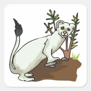 White Weasel Ermine Winter Stoat Wildlife Square Sticker
